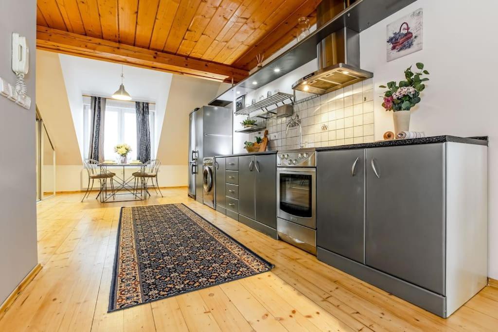 Utulny A Prostorny Podkrovni Byt S Krbovymi Kamny Budweis Exterior foto