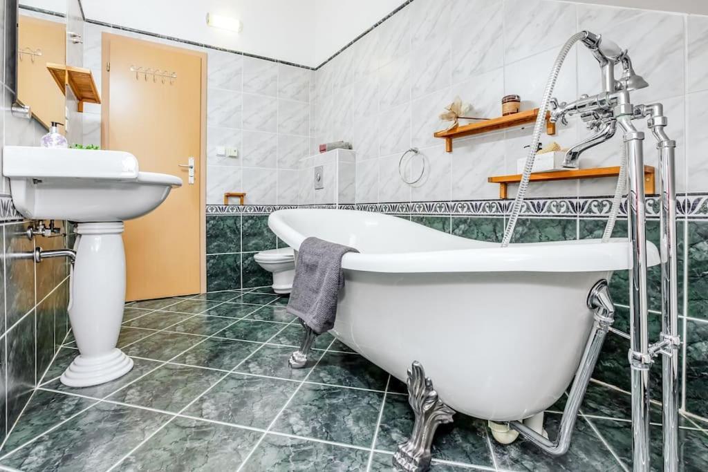 Utulny A Prostorny Podkrovni Byt S Krbovymi Kamny Budweis Exterior foto